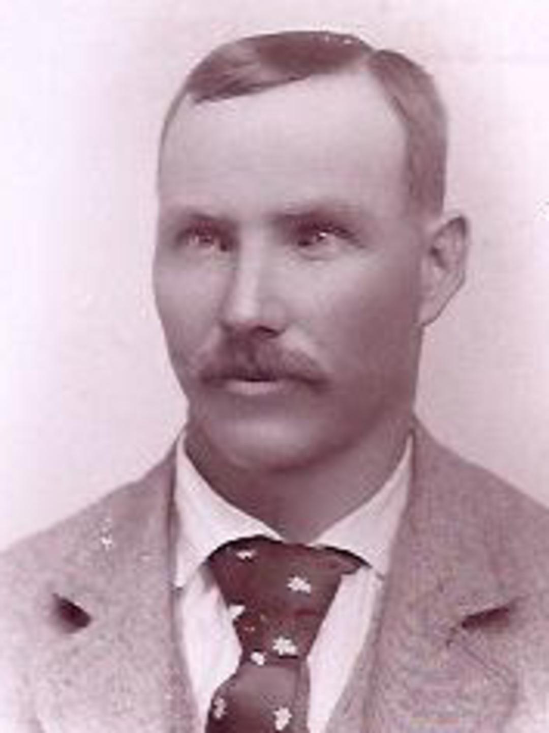Albert Hollingdrake (1864 - 1908) Profile